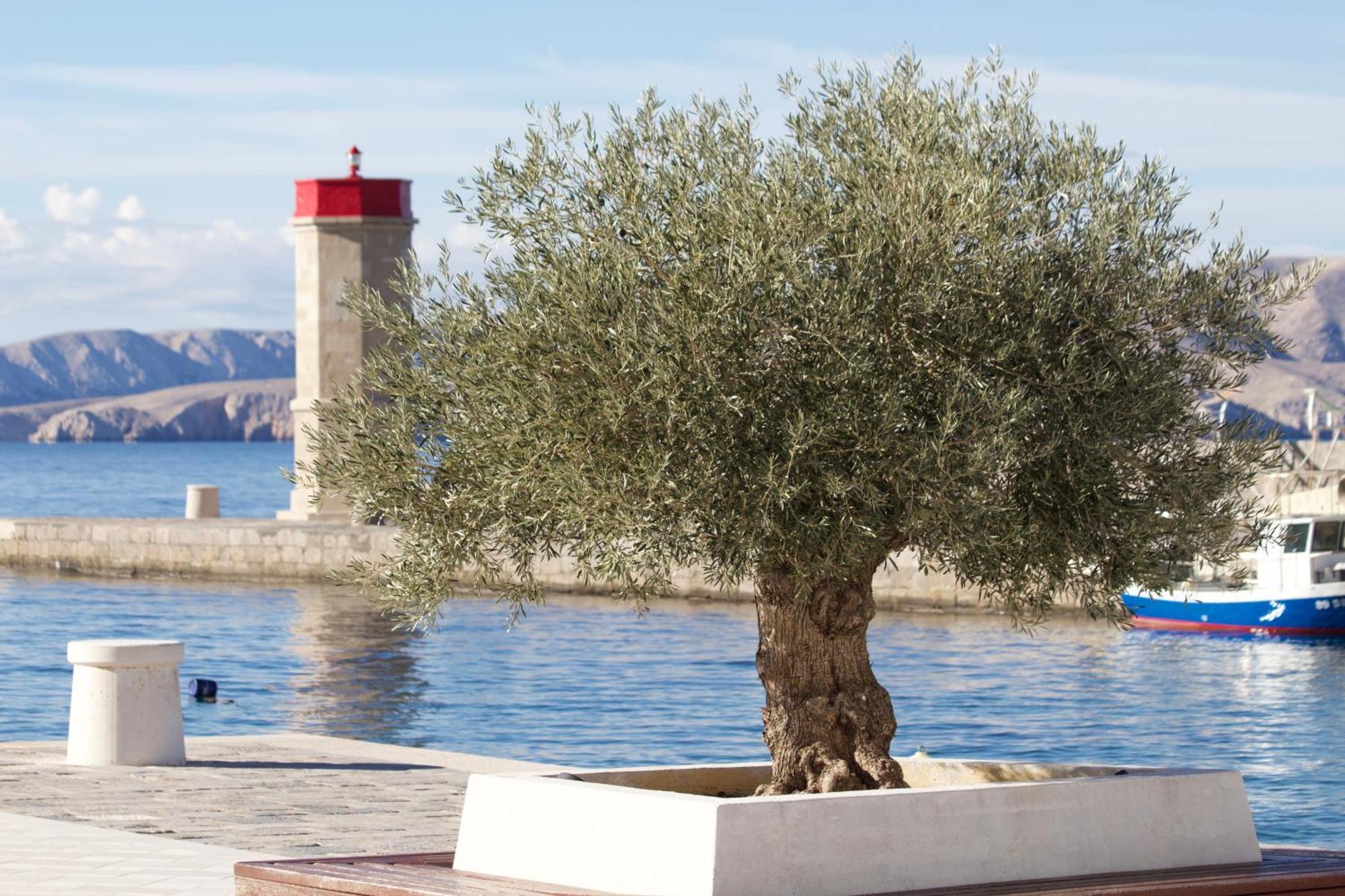 Apartment4You Senj  Εξωτερικό φωτογραφία